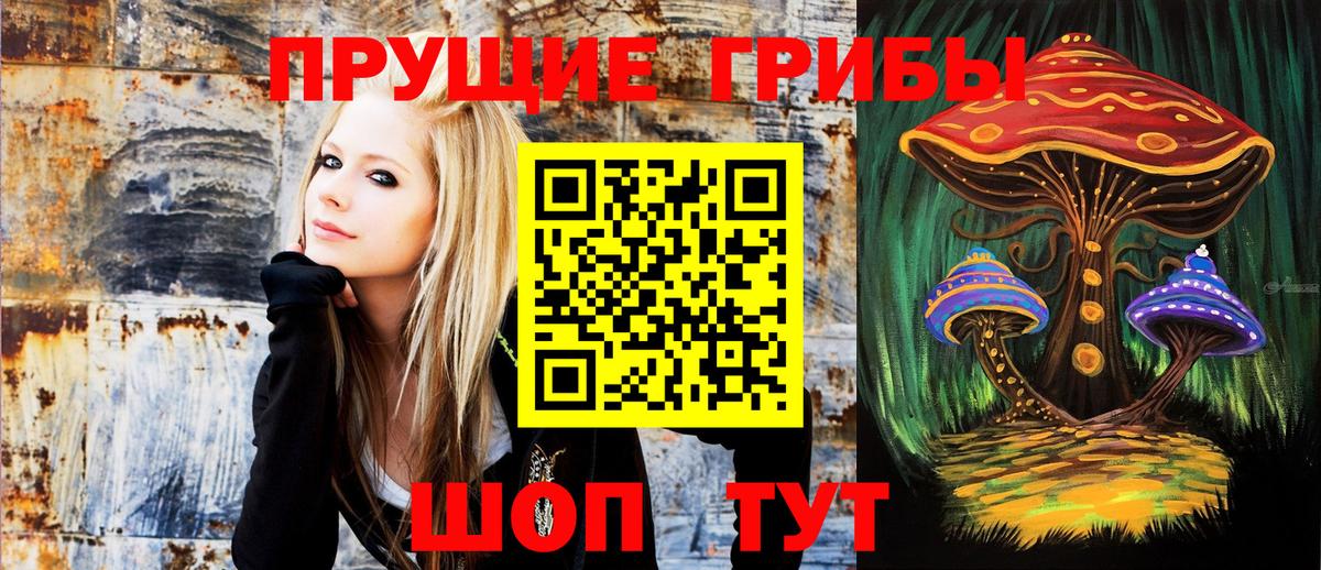 Галлюциногенные грибы Cubensis Первоуральск